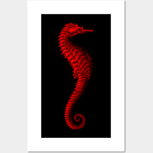 A Red Seahorse Posters and Art